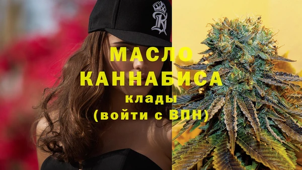 крисы Новозыбков