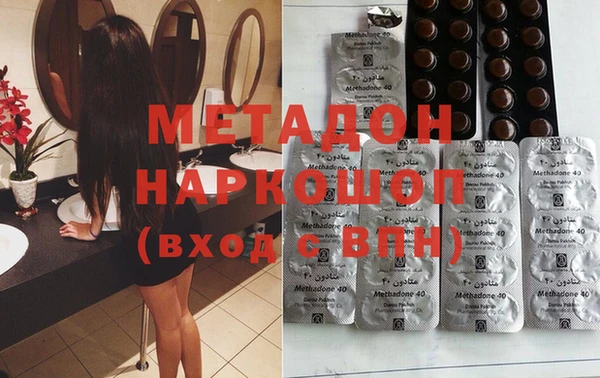 крисы Новозыбков