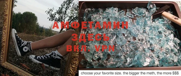 крисы Новозыбков