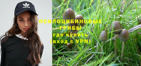 крисы Новозыбков