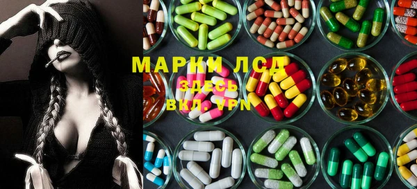 крисы Новозыбков