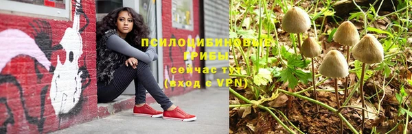 амфетамин Новодвинск