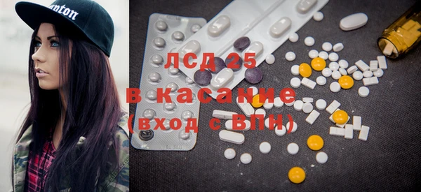 крисы Новозыбков