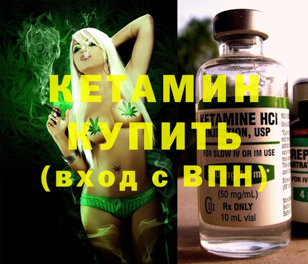 крисы Новозыбков