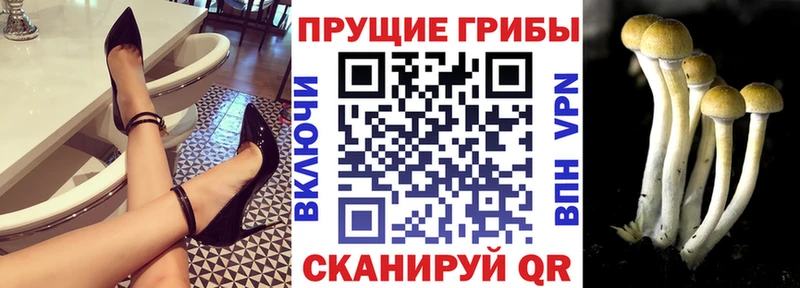 Псилоцибиновые грибы GOLDEN TEACHER  Красноперекопск 