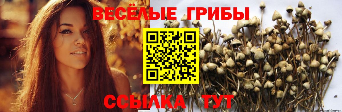 Красноперекопск  Псилоцибиновые грибы Psilocybine cubensis  Вход с VPN  Галлюциногенные грибы Cubensis 