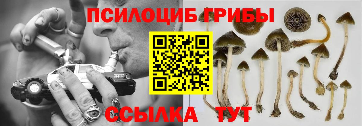 Псилоцибиновые грибы мухоморы Красноперекопск