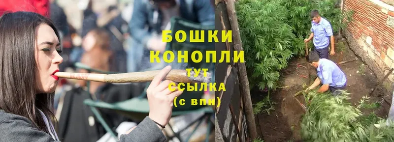 наркотики  Красноперекопск  Бошки Шишки Ganja 